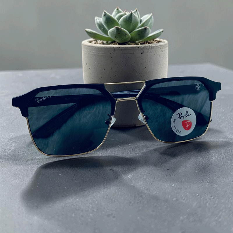 Polarize Sunglass